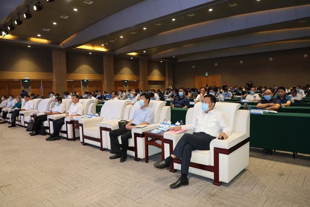 1601261445402347.jpg 3.jpg