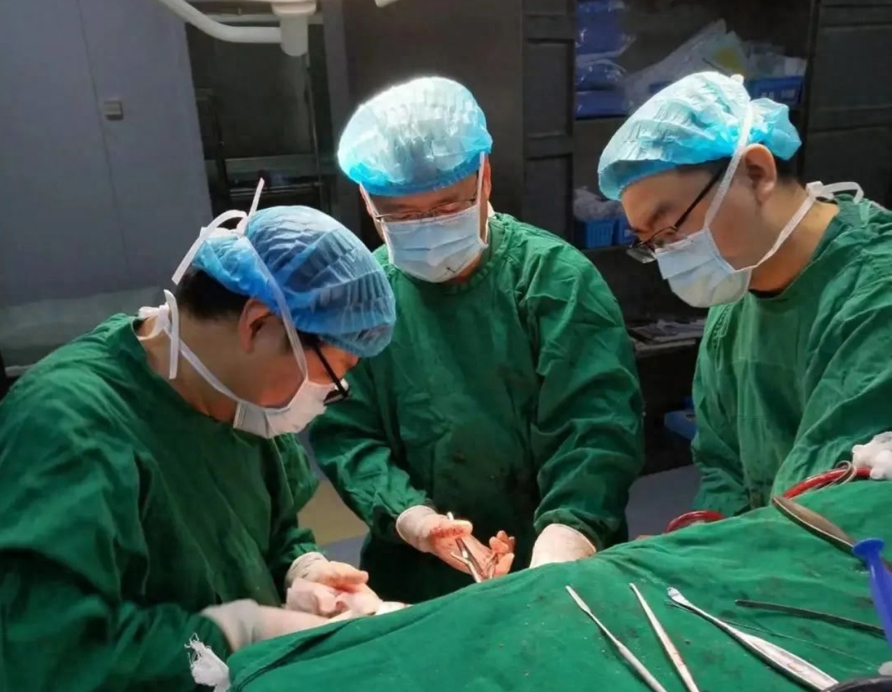 1695198054132981.jpg 微信截图_20230920162019.jpg